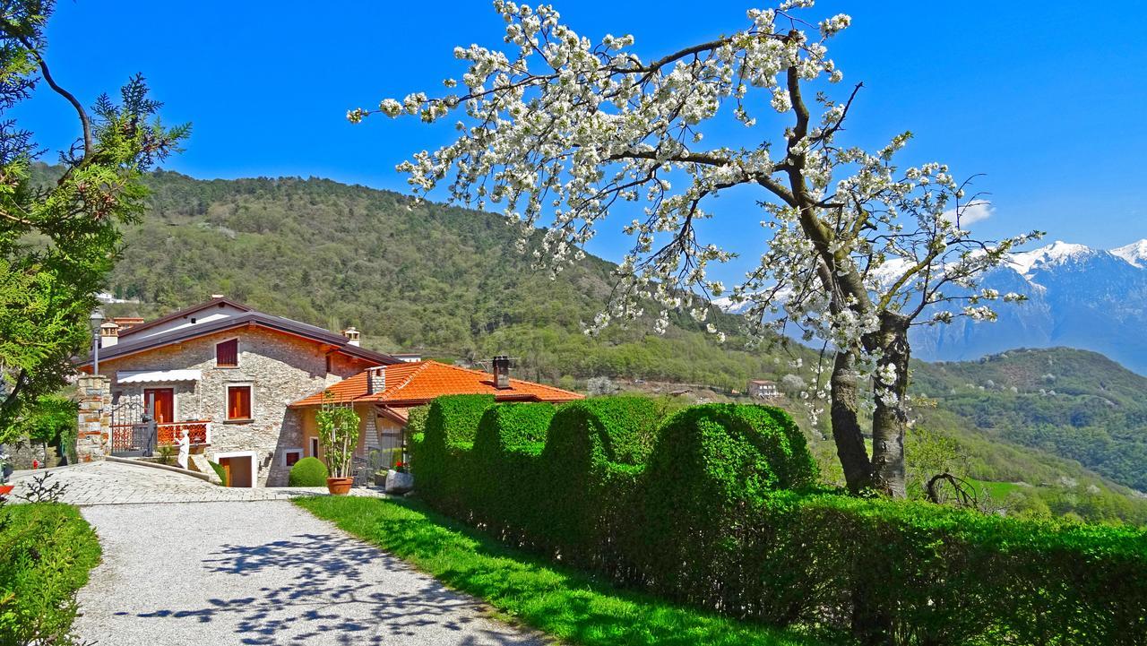 Casa Belvedere Garden By Gardadomusmea Tremosine Zewnętrze zdjęcie