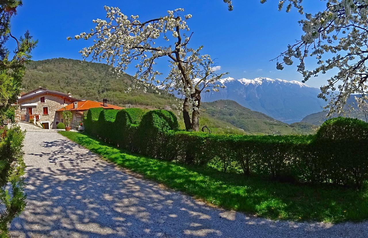 Casa Belvedere Garden By Gardadomusmea Tremosine Zewnętrze zdjęcie